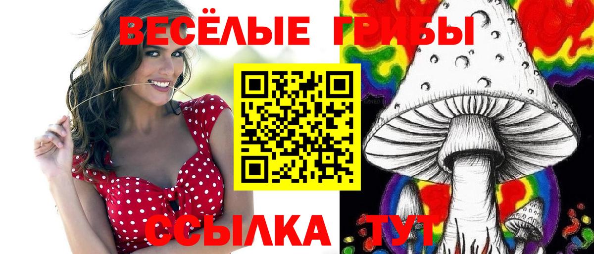 Галлюциногенные грибы Cubensis  Вход с VPN  Медногорск  Галлюциногенные грибы Psilocybine cubensis 